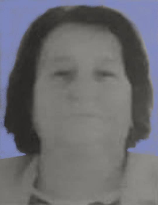 Hazima Osmanhafizović